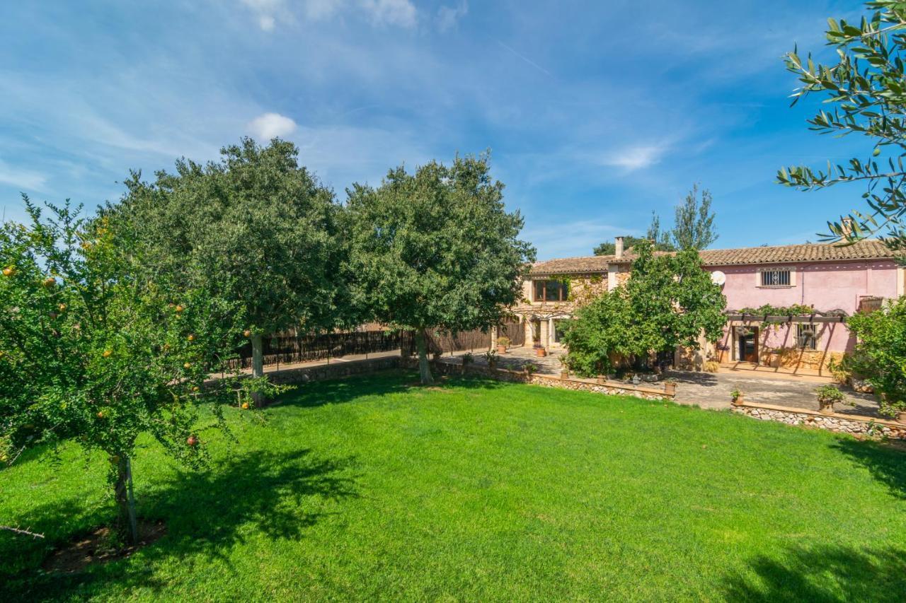 Son Arboç Gran Villa