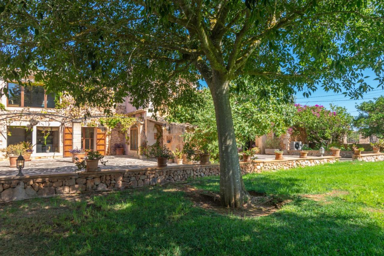 Villa Son Arboç Gran